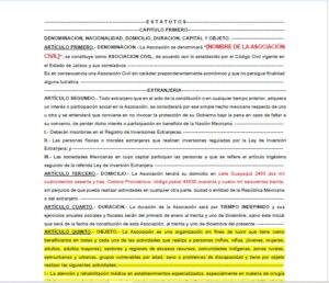 Acta Constitutiva Asistencial Servicios Médicos